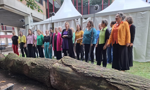 Liberty Gospel Choir bij De Schommel in Nijmegen